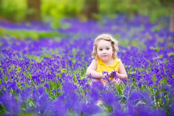 Söta barn girl i bluebell blommor under våren — Stockfoto