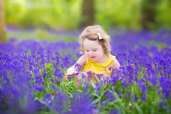 Cute toddler girl in bluebell flowers in spring