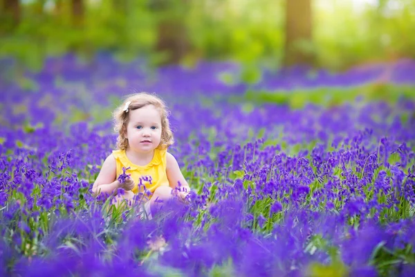 Cute toddler girl in bluebell flowers in spring — Stock Photo, Image