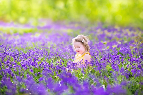 蓝铃花盛开在春天可爱的蹒跚学步的女孩 — 图库照片