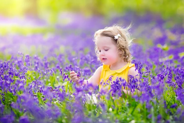 Menina bonito criança em flores bluebell na primavera — Fotografia de Stock