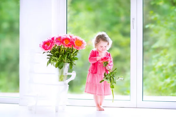 Batole dívka si hraje s Pivoňka květy — Stock fotografie