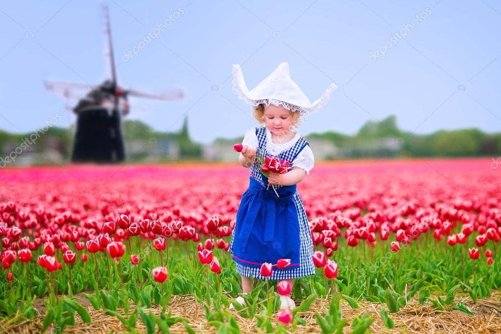 Little girl in a national Dutch costume in tulips field with win ...
