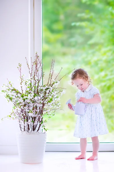 Маленькая девочка поливает цветы дома — стоковое фото