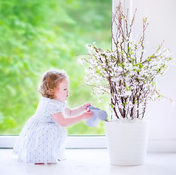 Meisje water geven bloemen thuis — Stockfoto