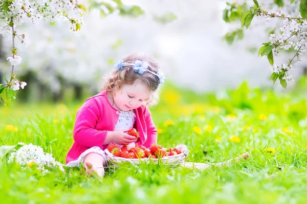 Маленькая девочка ест клубнику в цветущем саду — стоковое фото