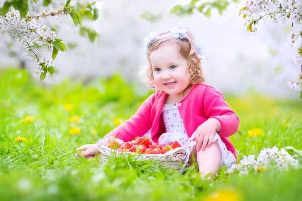 Çiçek açan bahçede çilek yeme yürümeye başlayan çocuk kız — Stok fotoğraf