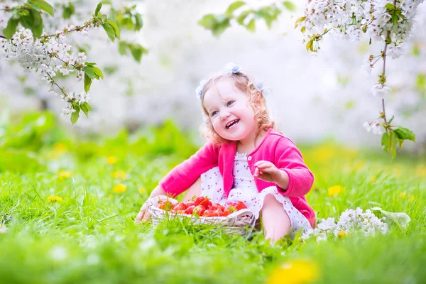 Toddler dziewczynka jedzenie truskawek w kwitnący ogród — Zdjęcie stockowe