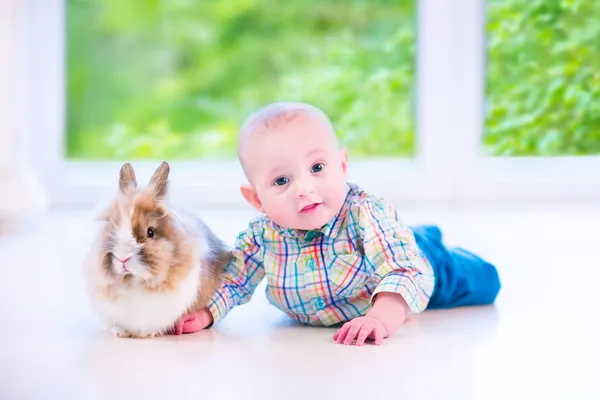 Bébé et lapin — Photo