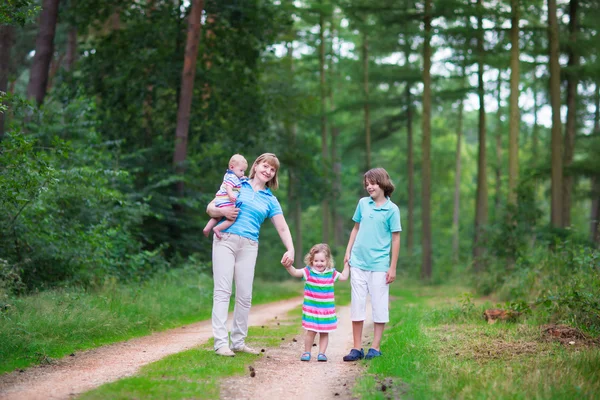 Randonnée en famille dans un bois de pin — Photo