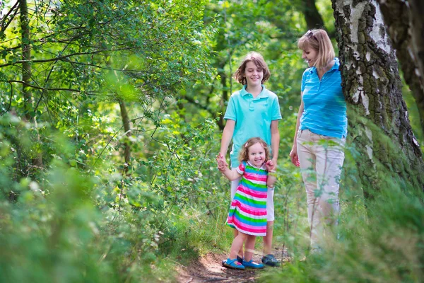 Family hiking in a pine wood — Stock Photo, Image