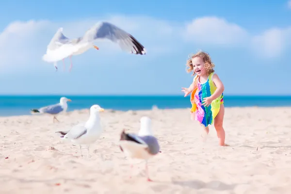 Little girl playing with seagulls — Stock Photo, Image