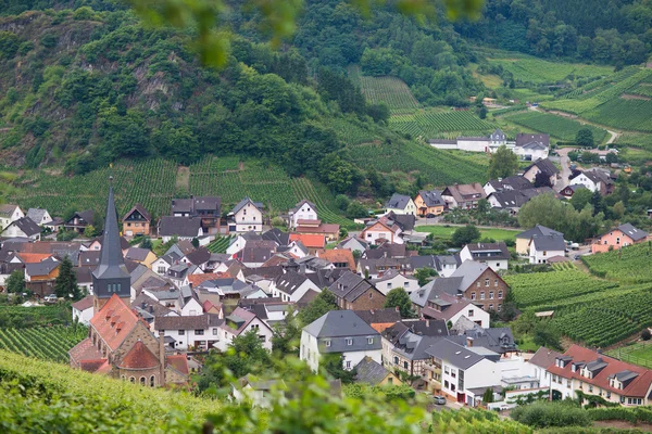 Beautiful village with wine yards — Stock Photo, Image