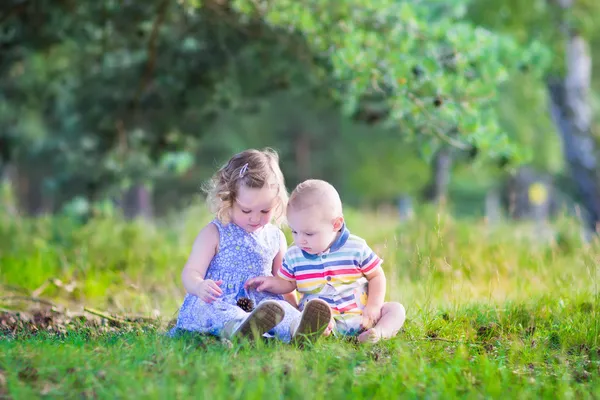 Kids playing with pine cones — Stock Photo, Image