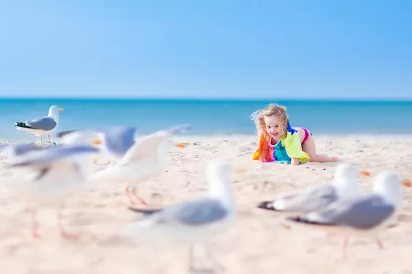 Petite fille jouant avec les mouettes — Photo