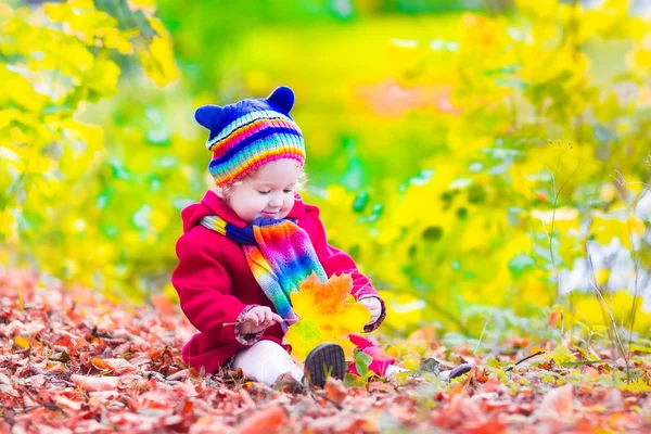 Liten flicka i en park på hösten — Stockfoto