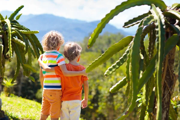 Niños Mascarilla Senderismo Las Montañas Parque Natural Viaje Seguro Durante —  Fotos de Stock