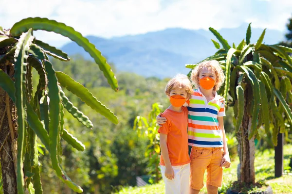 Kinderen Het Gezicht Masker Wandelen Bergen Natuurpark Veilig Reizen Tijdens — Stockfoto