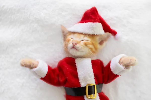 Baby cat in Christmas costume and Santa hat. Ginger newborn kitten sleeping under woolen blanket. Cozy Xmas winter day with pet at home. Nap time. Present for animal. Cats sleep, relax, rest.