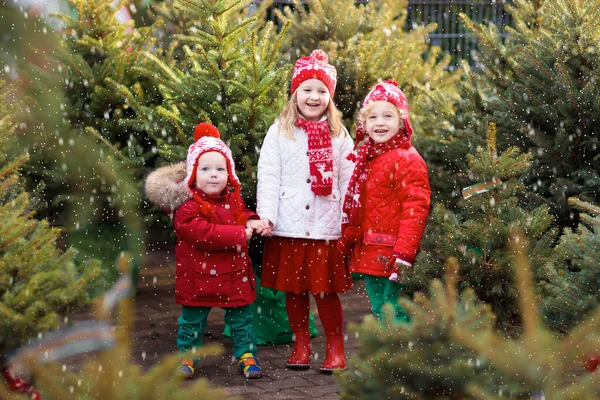 Família Selecionando Árvore Natal Crianças Escolhendo Recém Cortado Noruega Árvore — Fotografia de Stock