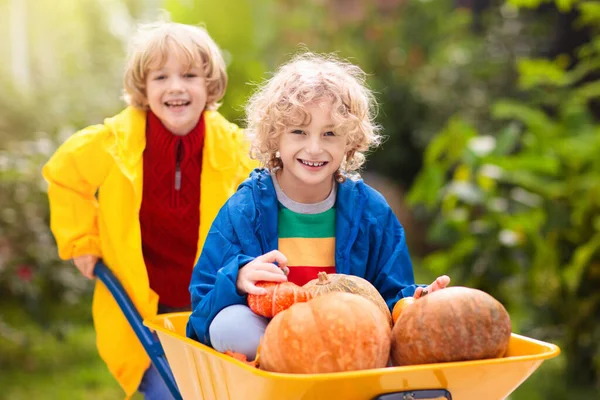 Enfants Brouette Sur Patch Citrouille Plaisir Automne Plein Air Pour — Photo