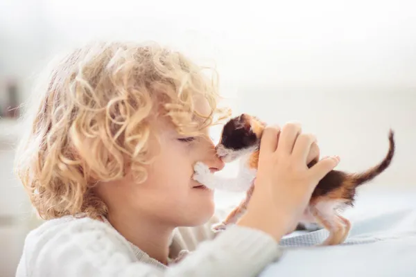 Enfant Jouant Avec Bébé Chat Petit Garçon Regardant Chaton Nouveau — Photo