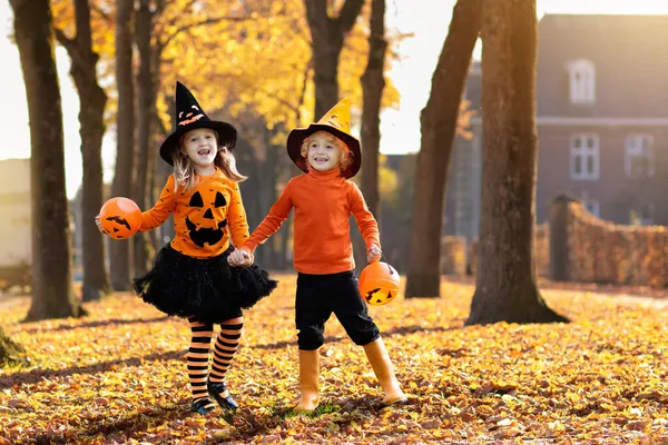 子供はハロウィーンのトリックや治療をします 黒とオレンジの魔女の衣装と帽子の子供たちは 秋の公園でカボチャとクモと遊ぶ 男の子と女の子の屋外でドレスアップ 秋の家族の楽しみ — ストック写真