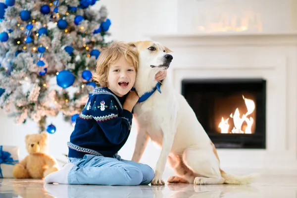 집에서 크리스마스를 보내자 Xmas 아래의 아이들 모자쓰고 크리스마스 선물열고 강아지안아 — 스톡 사진