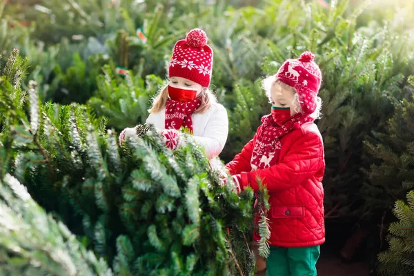 Família Máscara Facial Selecionando Árvore Natal Compras Seguras Natal Covid — Fotografia de Stock