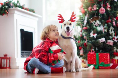 Evde Noel. Çocuklar ve köpek ren geyiği boynuzları içinde Xmas ağacının altında. Geyik şapkası takıp Noel hediyelerini açan küçük bir çocuk. Çocuklar evcil hayvanlarla oynar. Kış bayramı kutlaması. 