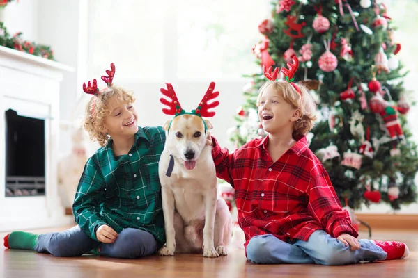 Evde Noel Çocuklar Köpek Ren Geyiği Boynuzları Içinde Xmas Ağacının — Stok fotoğraf