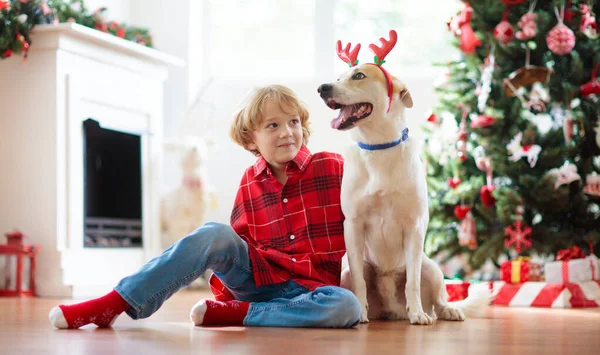 집에서 크리스마스를 보내자 Xmas 뿔달린 아이들 모자쓰고 크리스마스 선물열고 강아지껴안는 — 스톡 사진