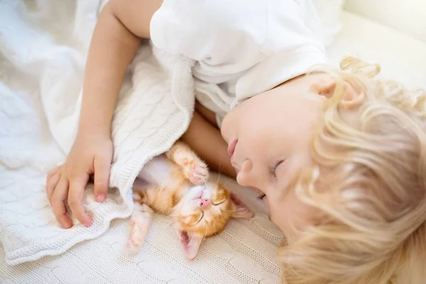 Αγοράκι Κοιμάται Γατάκι Πάνω Λευκή Πλεκτή Κουβέρτα Παιδί Και Γάτα — Φωτογραφία Αρχείου