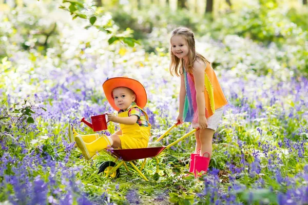 蓝铃花 花园工具及手推车里的孩子 男孩和女孩园艺 孩子们玩户外风铃 植物和水蓝色铃铛花床 在夏季森林家庭乐趣 — 图库照片