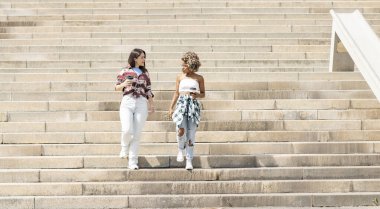 Kahveli arkadaşlar merdivenlerden aşağı iniyor.