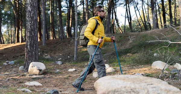 Homem Caminhando Pela Floresta Com Postes Roupas Montanha — Fotografia de Stock