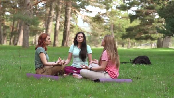 Three Mature Caucasian Female Friends Nature Doing Spiritual Yoga Retreat — Stockvideo
