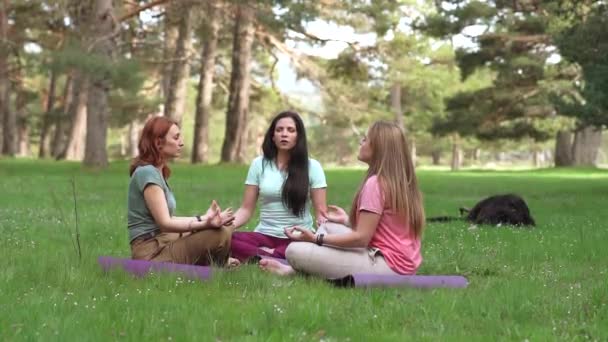 Gruppe Von Drei Frauen Mit Geschlossenen Augen Die Atemübungen Machen — Stockvideo