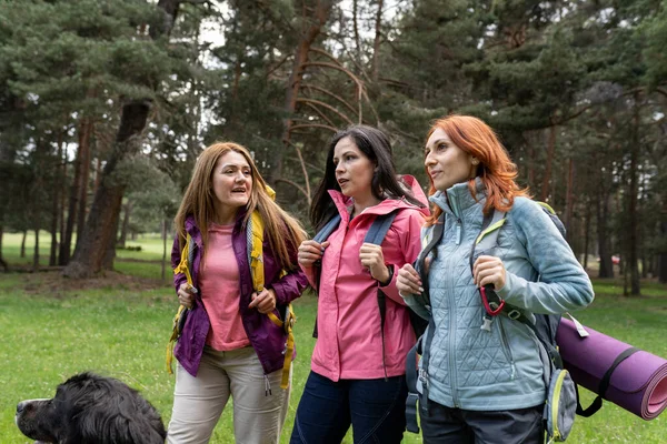 Grupo Três Mulheres Maduras Caminhadas Sorrindo Amigos Sexo Feminino Caminhadas — Fotografia de Stock