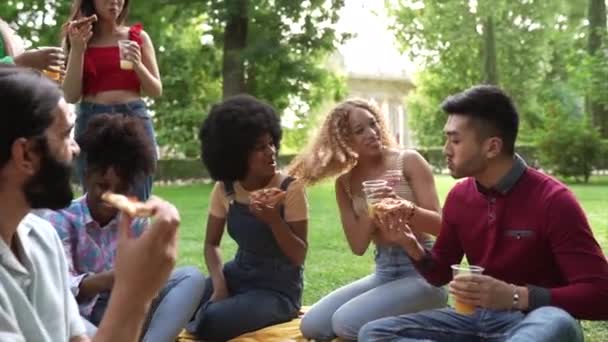 Groep Multiraciale Vrienden Picknicken Het Park Een Zonnige Dag Pizza — Stockvideo