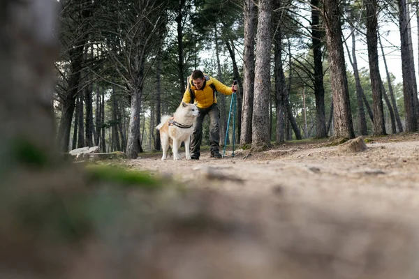 Caucasian Man Backpacking His Dog Woods — Fotografia de Stock