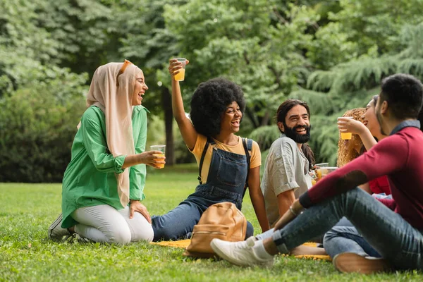 Group Multiracial Friends Picnicking Park African American Woman Raise Glass —  Fotos de Stock