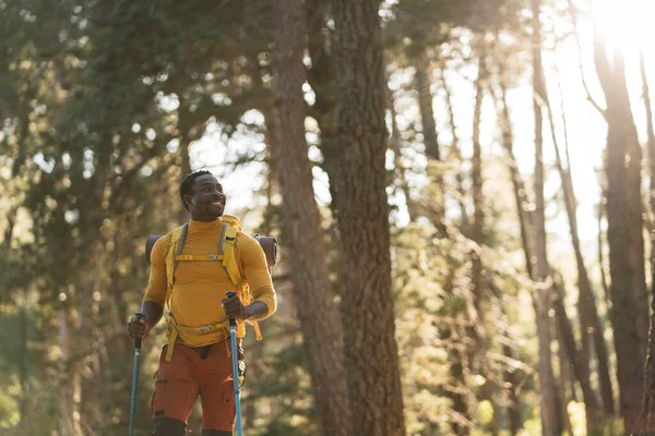 Homem Americano Africano Feliz Floresta Pôr Sol Caminhante Com Mochila — Fotografia de Stock