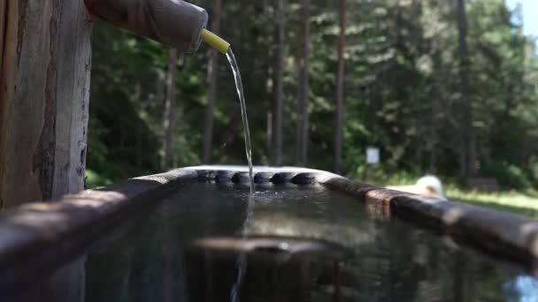 Fuente Agua Subterránea Ionizada Limpia Ozono Las Montañas Los Alpes — Vídeo de stock