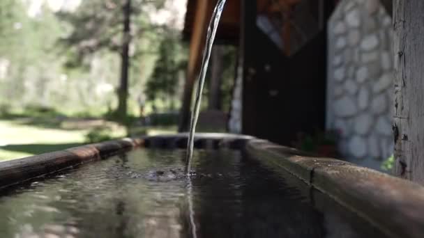 Природный Источник Воды Горного Перевала — стоковое видео