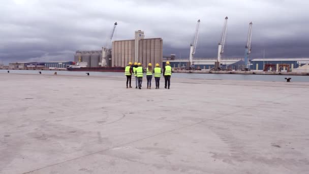 Gruppe Multiethnischer Mitarbeiter Die Durch Den Güterhafen Laufen Ingenieure Und — Stockvideo