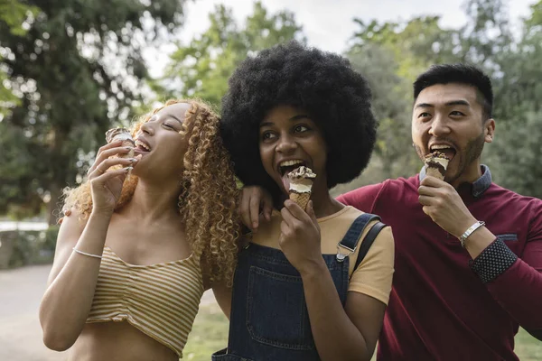 Grupo Jovens Adultos Diversos Está Parque Grupo Comendo Sorvete Juntos — Fotografia de Stock