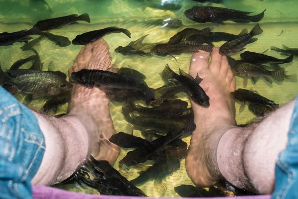 Fish spa skin treatment — Stock Photo, Image