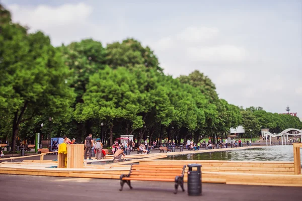 ağaçlar ve gölet Park.