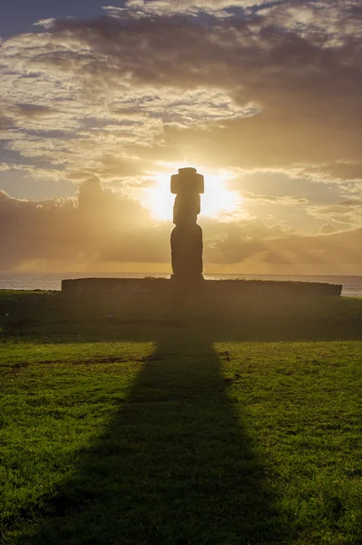 Άλογα σχετικά η isla de Πάσκουα. Rapa nui. νησί του Πάσχα. κάτω — Φωτογραφία Αρχείου